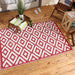 Rust & White Mesa Outdoor Rug 4X6 Ft